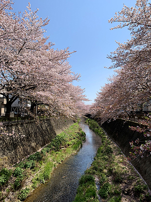 三沢川